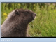 Free All-In-One Media Player