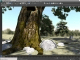 Autodesk 3ds Max 64-bit