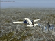OpusFSX for FSX and Prepar3D Flight Simulators