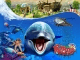 Wildlife Park 2 + Marine World