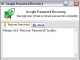Google Password Recovery