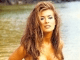 Carmen Electra Sex-E Screensaver