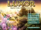 Luxor 4 Quest For The Afterlife