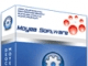 FLV Converter