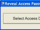 MS Access Password Recovery