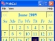 Daily+planner+2011+excel