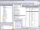 EMS SQL Manager 2007 Lite for DB2