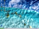 PUSH Entertainment - Watery Desktop 3D